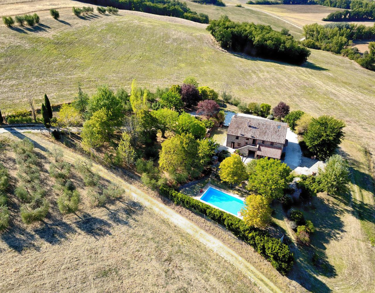 Vendita Multivani, Todi foto