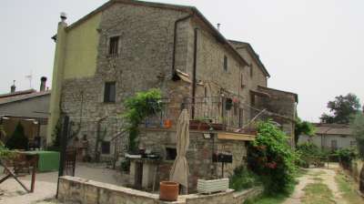 Vendita Esavani, Todi Vendita Esavani, Todi
