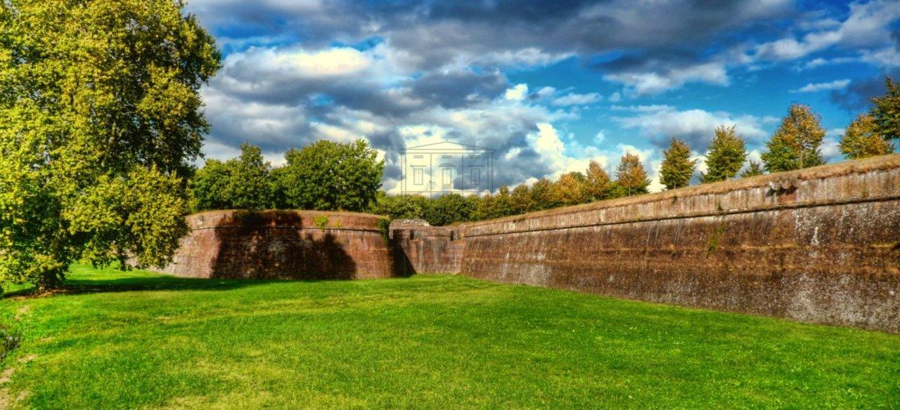 Vendita Multivani, Lucca foto