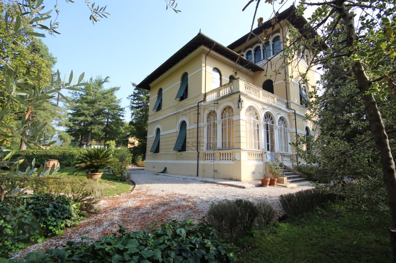 Vendita Multivani, Lucca foto