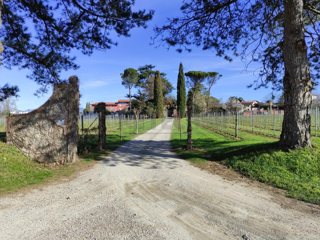 Vendita Monovano, Tricesimo foto