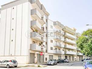 Vendita Quadrivani, Bisceglie Vendita Quadrivani, Bisceglie