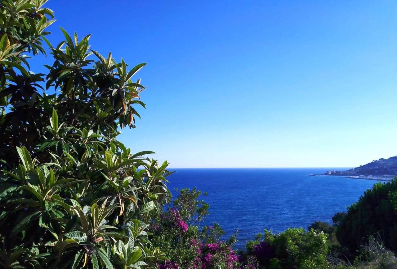 Vendita Trivani, Imperia foto