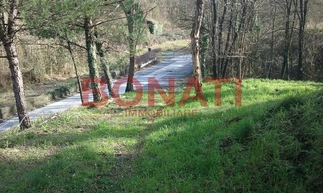 Vendita Quadrivani, Aulla foto