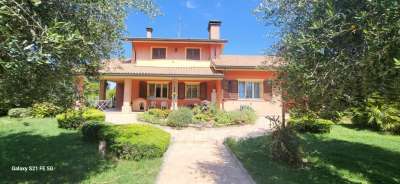 Vendita Multivani, Bellaria-Igea Marina Vendita Multivani, Bellaria-Igea Marina