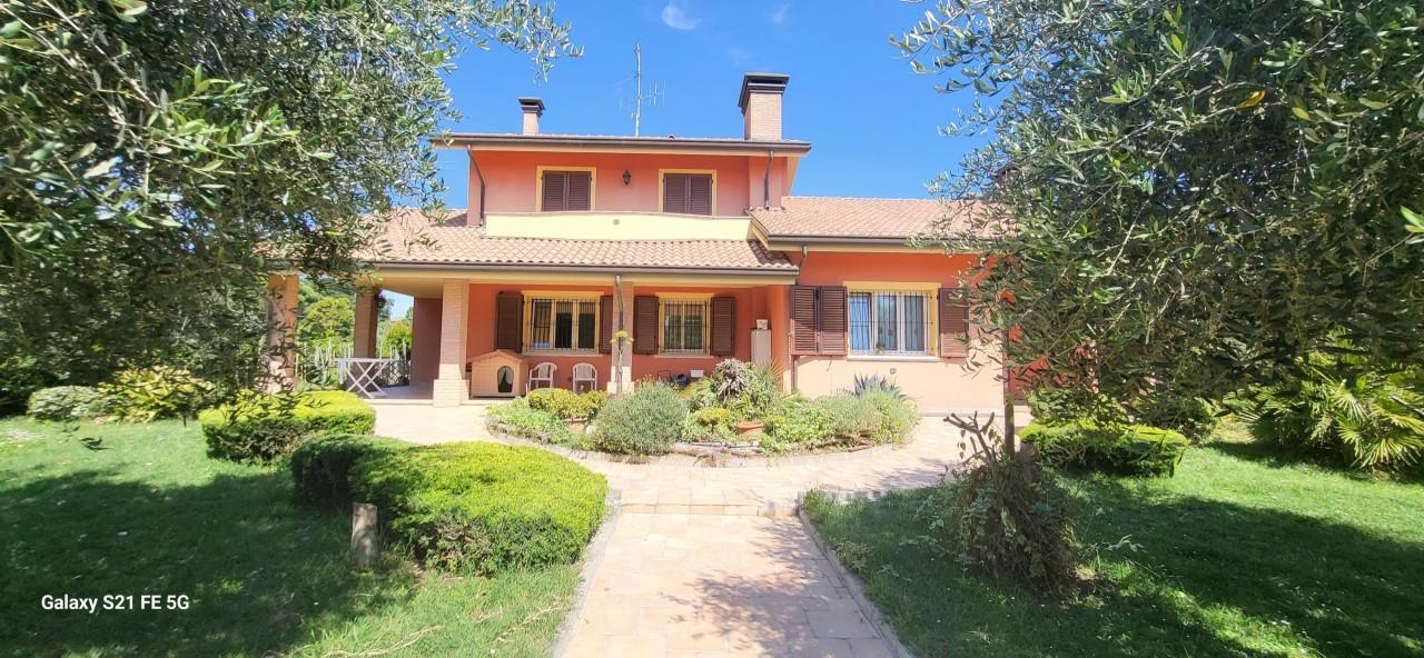 Vendita Multivani, Bellaria-Igea Marina foto