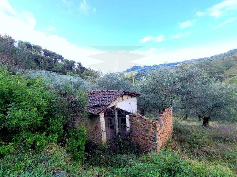 Vendita Monovano, Perinaldo foto