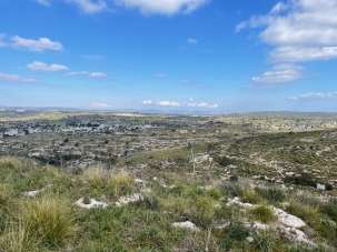 Vendita Monovano, Noto