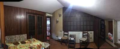 Vendita Esavani, Camaiore