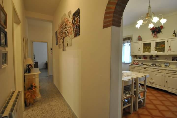 Vendita Quadrivani, Stazzema foto