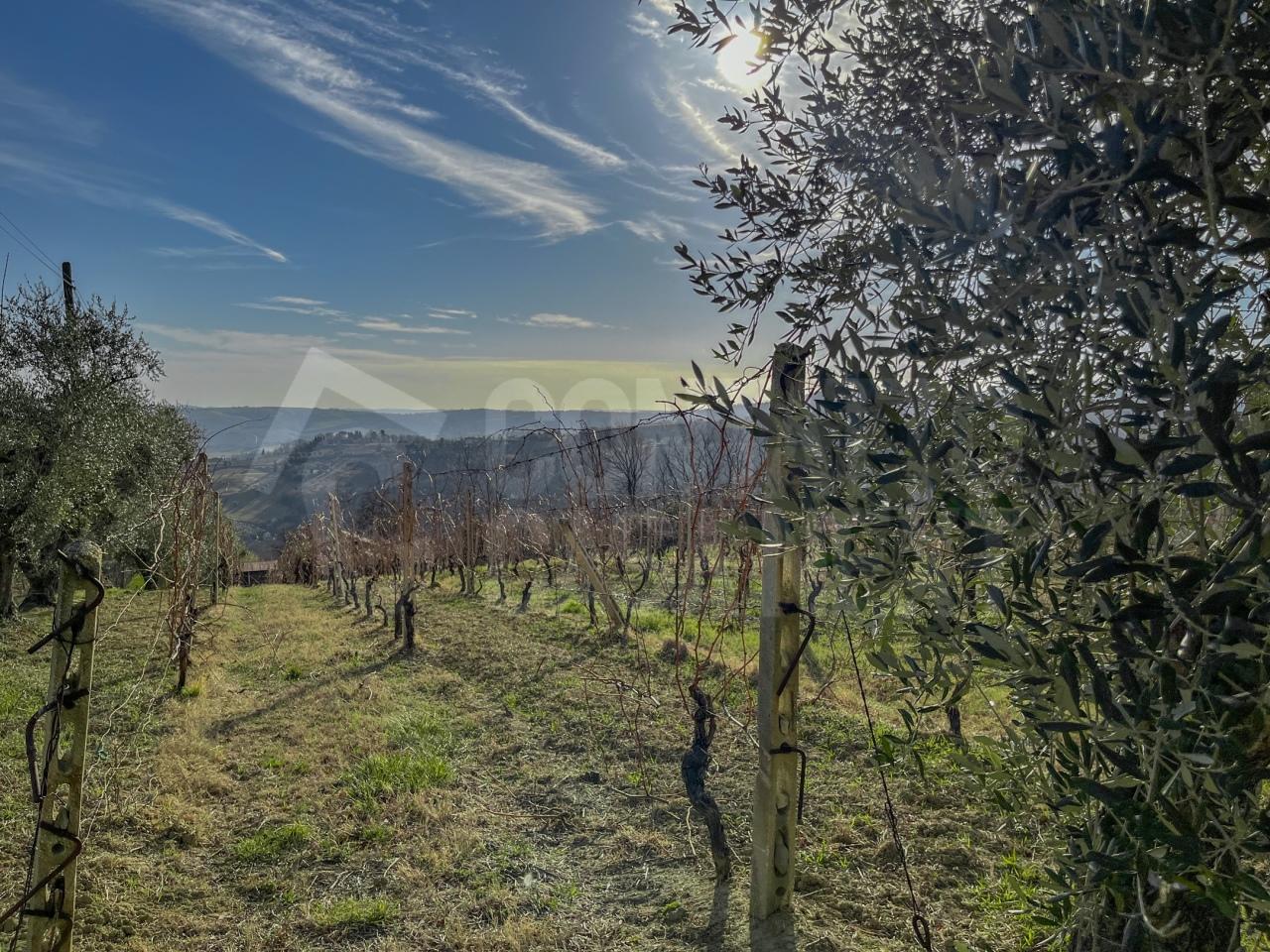 Vendita Terreni, Monte Roberto foto