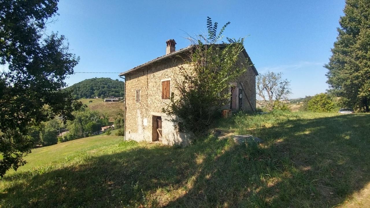 Vendita Esavani, Zocca foto