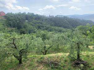 Vendita Terreni, Santo Stefano di Magra