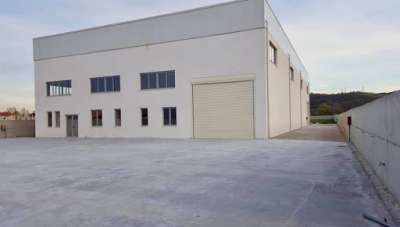 Vendita Capannone , Carrara