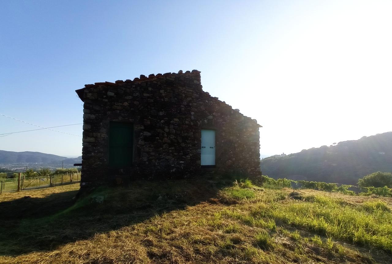 Vendita Pentavani, Sarzana foto