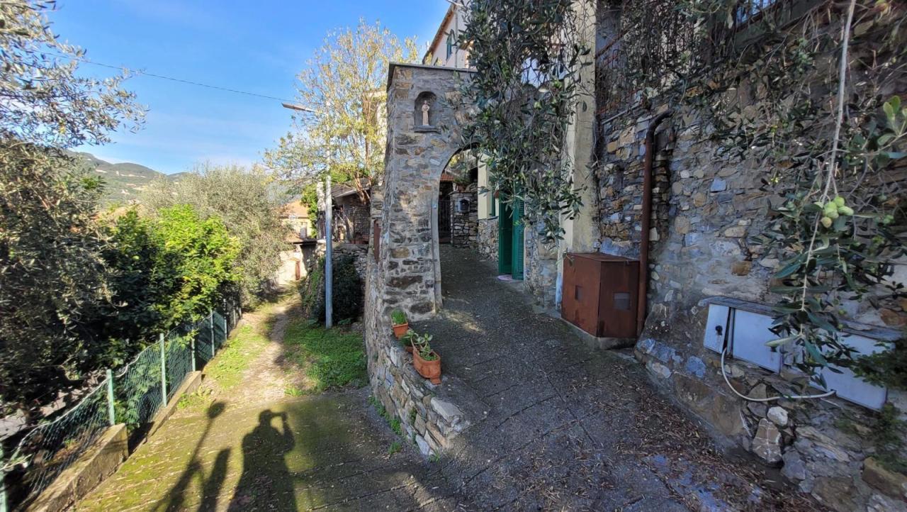 Vendita Trivani, Diano San Pietro foto