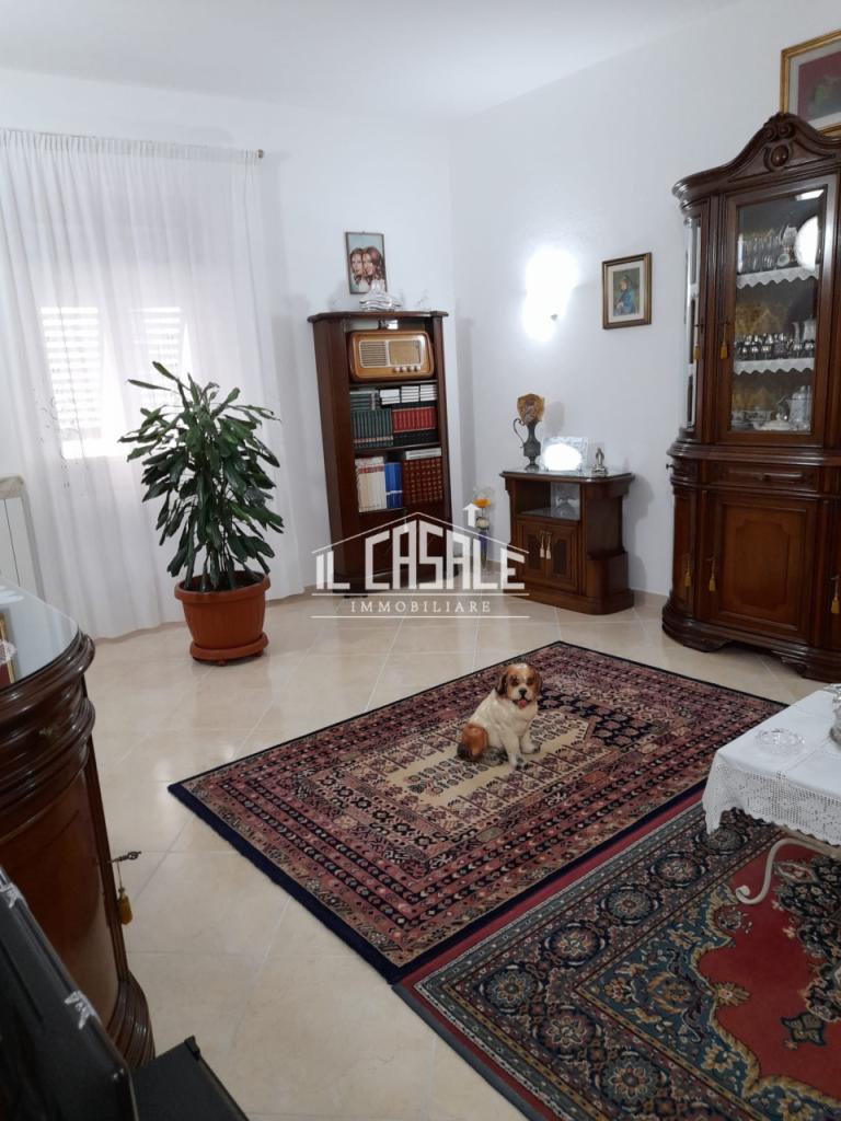 Vendita Pentavani, San Godenzo foto
