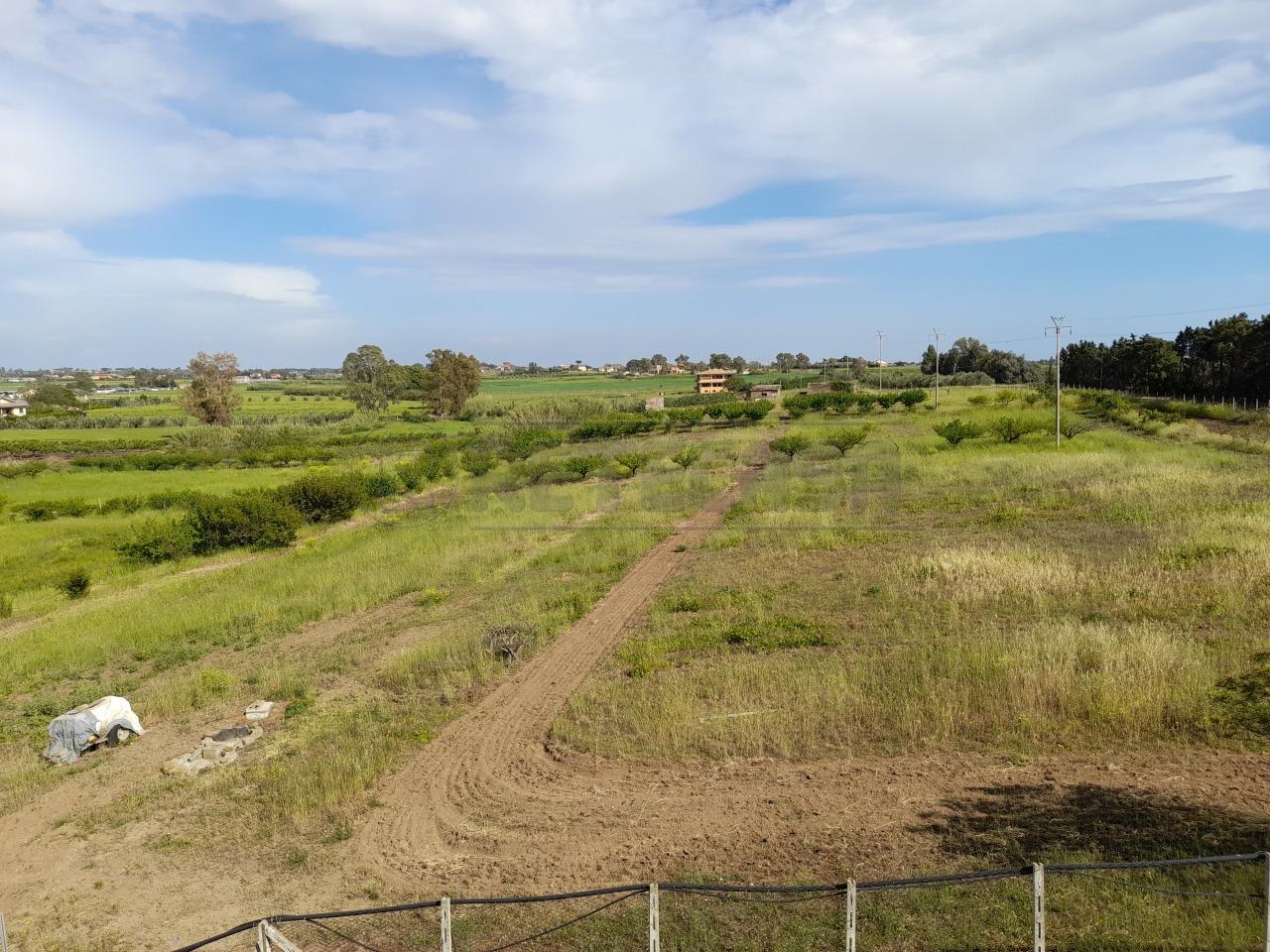 Vendita Terreni, Ladispoli foto