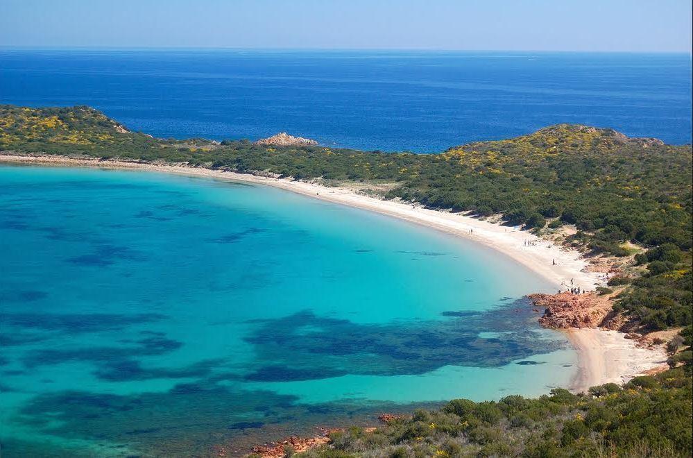 Vendita Quadrivani, Olbia foto