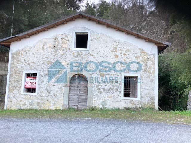 Vendita Trivani, Beverino foto