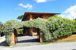 Affitto Multivani, Forte dei Marmi foto