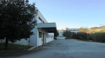 Affitto Capannone , San Benedetto del Tronto Affitto Capannone , San Benedetto del Tronto
