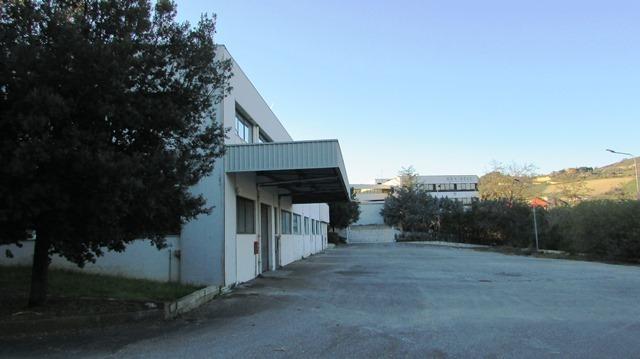 Affitto Capannone , San Benedetto del Tronto foto