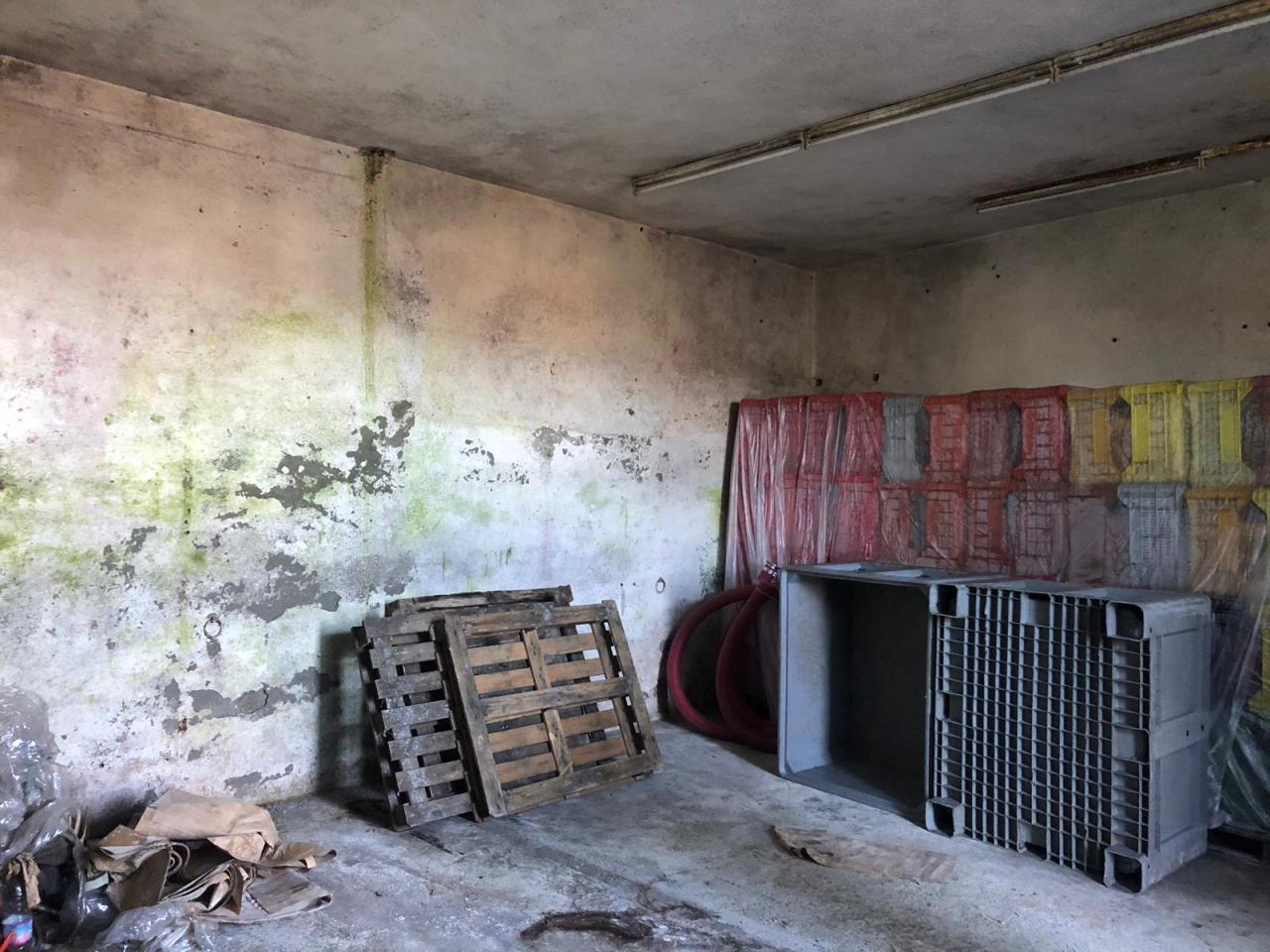 Vendita Capannone , Fosdinovo foto