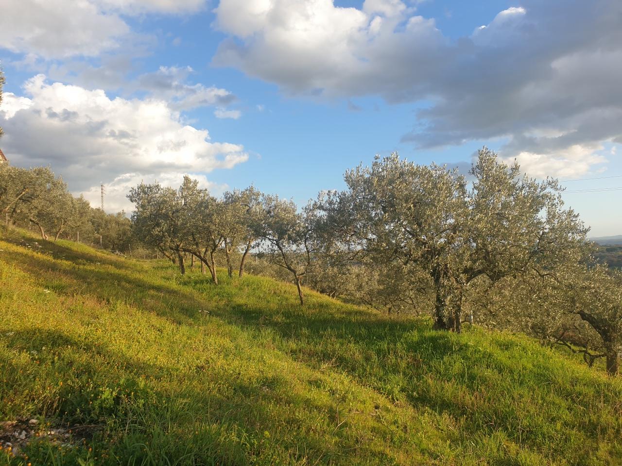 Vendita Terreni, Lugnano in Teverina foto