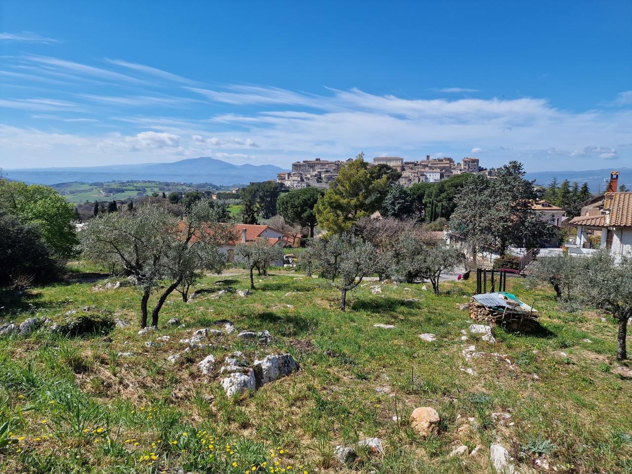 Vendita Pentavani, Lugnano in Teverina foto