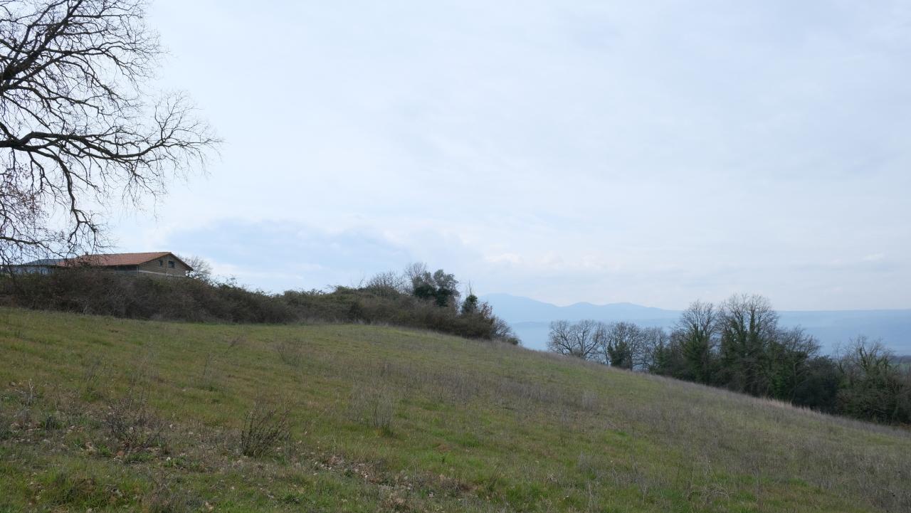 Vendita Bivani, Lugnano in Teverina foto