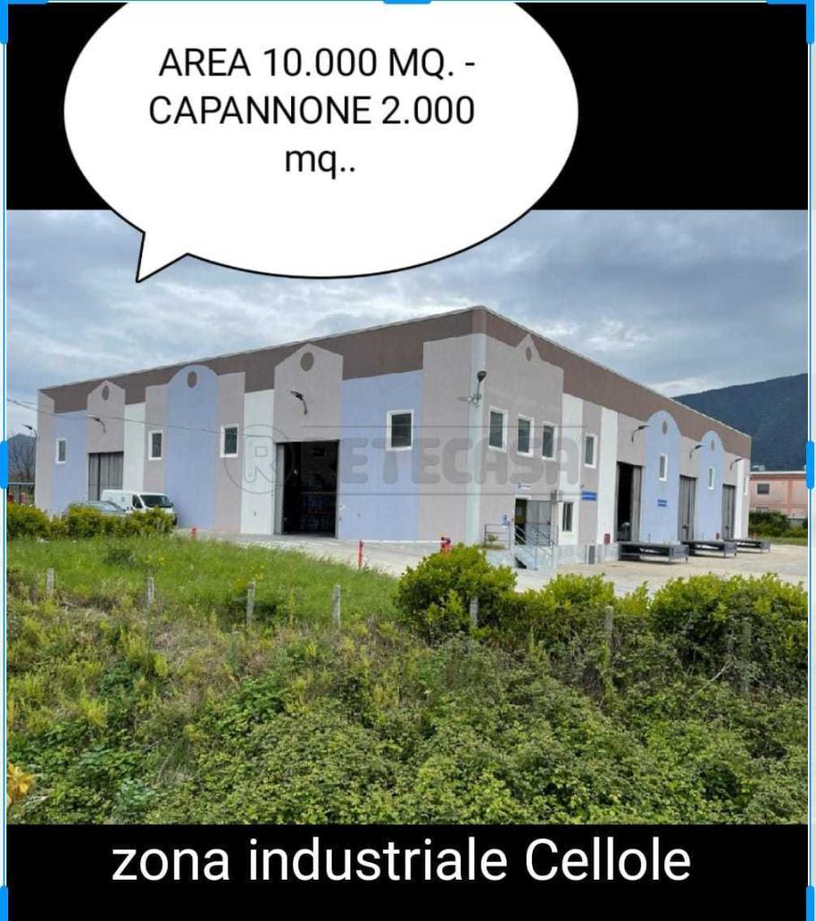 Vendita Capannone , Cellole foto