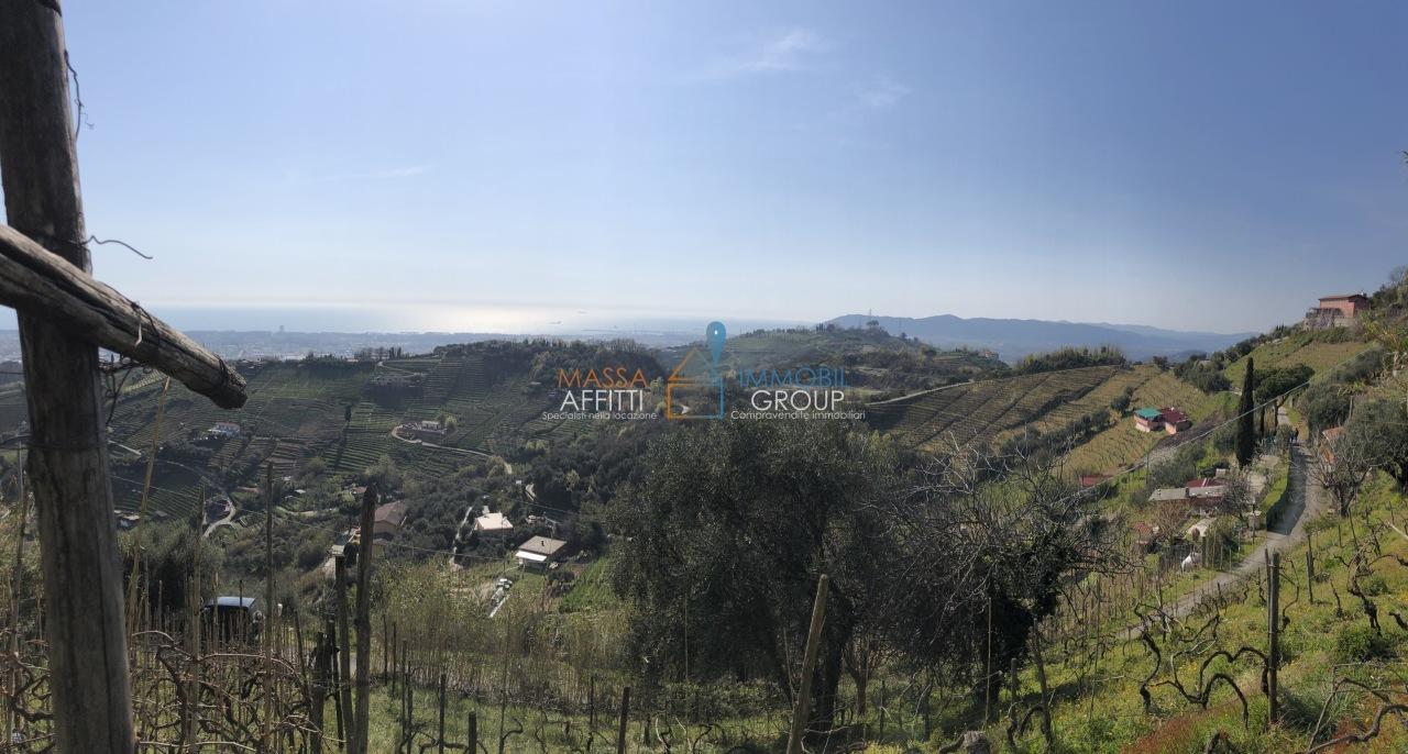 Vendita Monovano, Massa foto