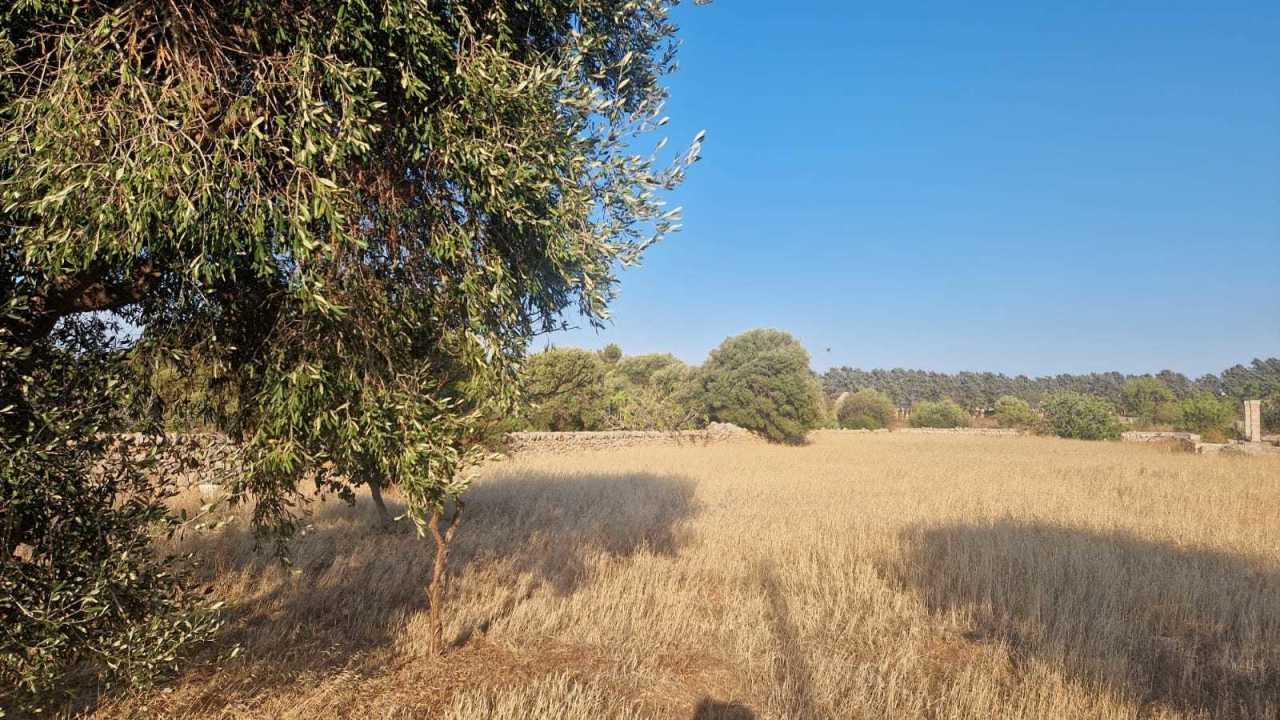 Vendita Terreni, Monopoli foto
