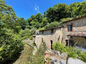 Vendita Esavani, Camaiore