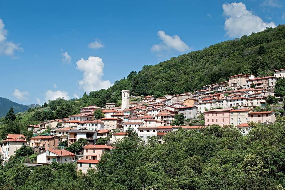 Vendita Trivani, Stazzema foto