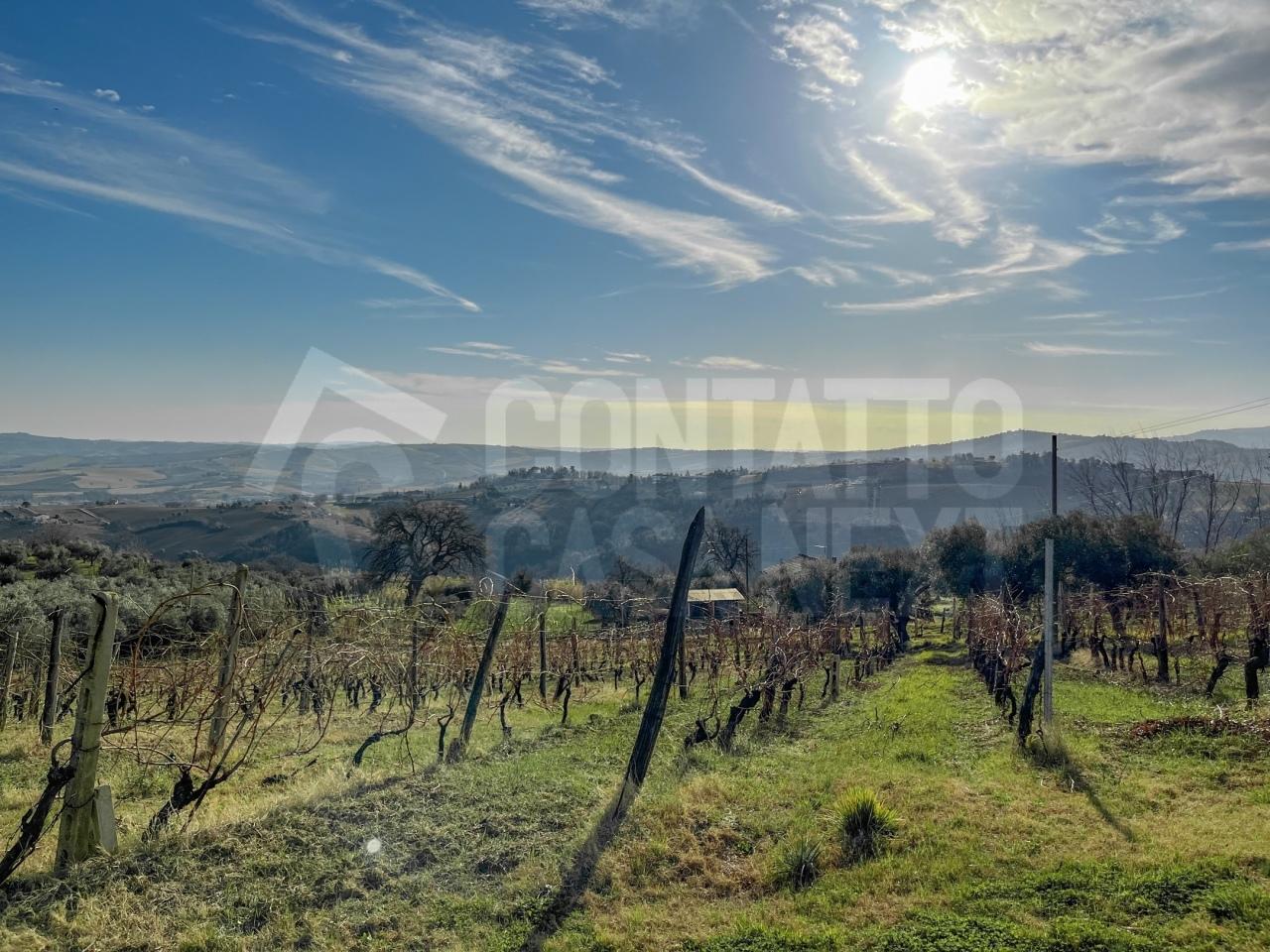Vendita Multivani, Monte Roberto foto