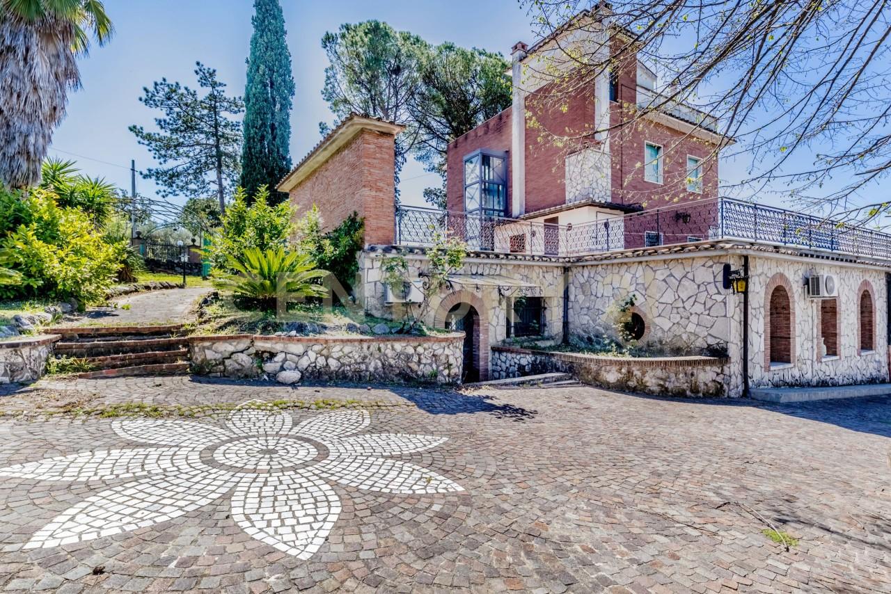 Vendita Multivani, Fonte Nuova foto