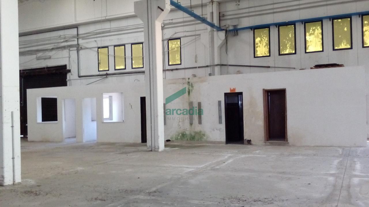 Affitto Industriale, Modugno foto
