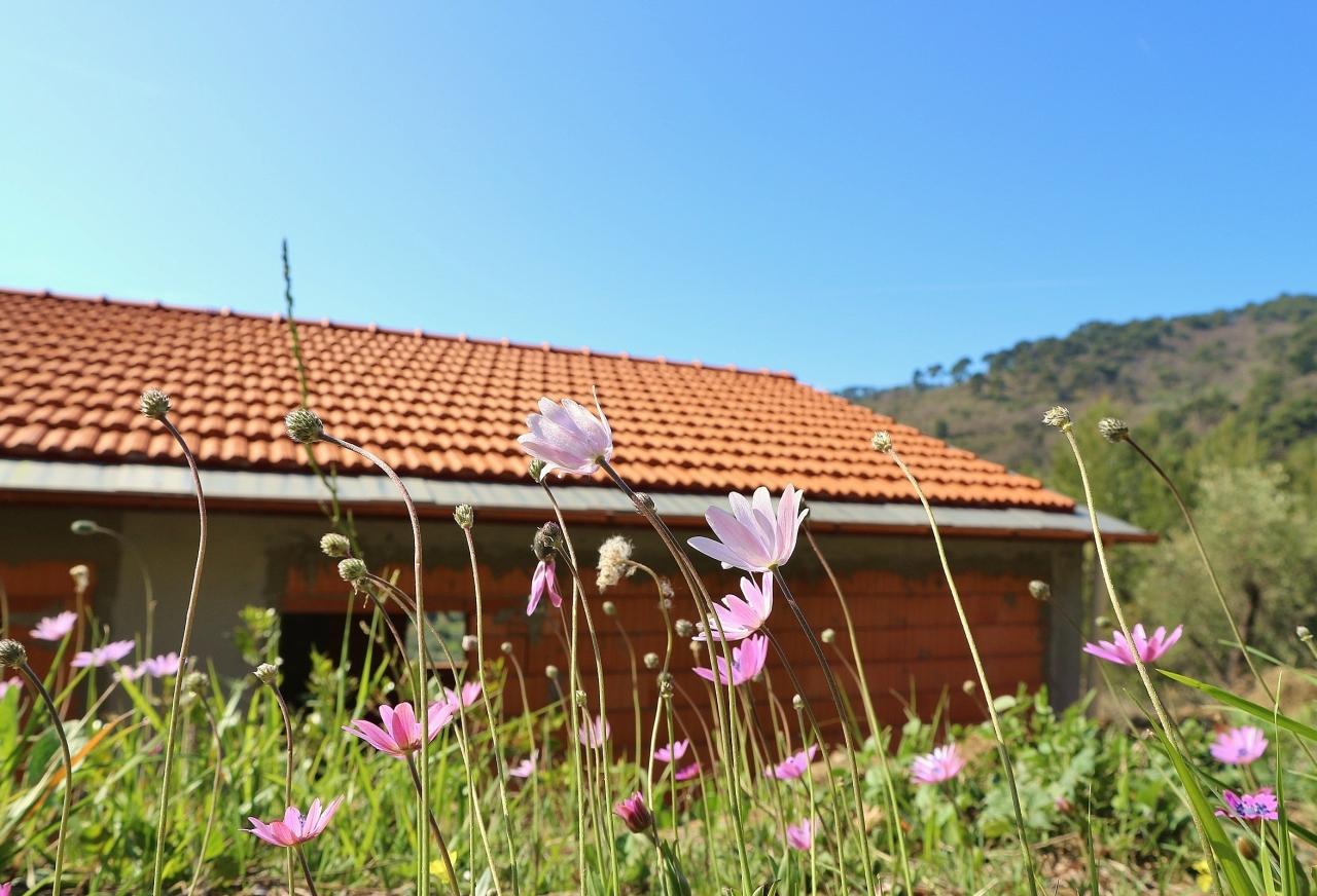 Vendita Trivani, Diano Arentino foto