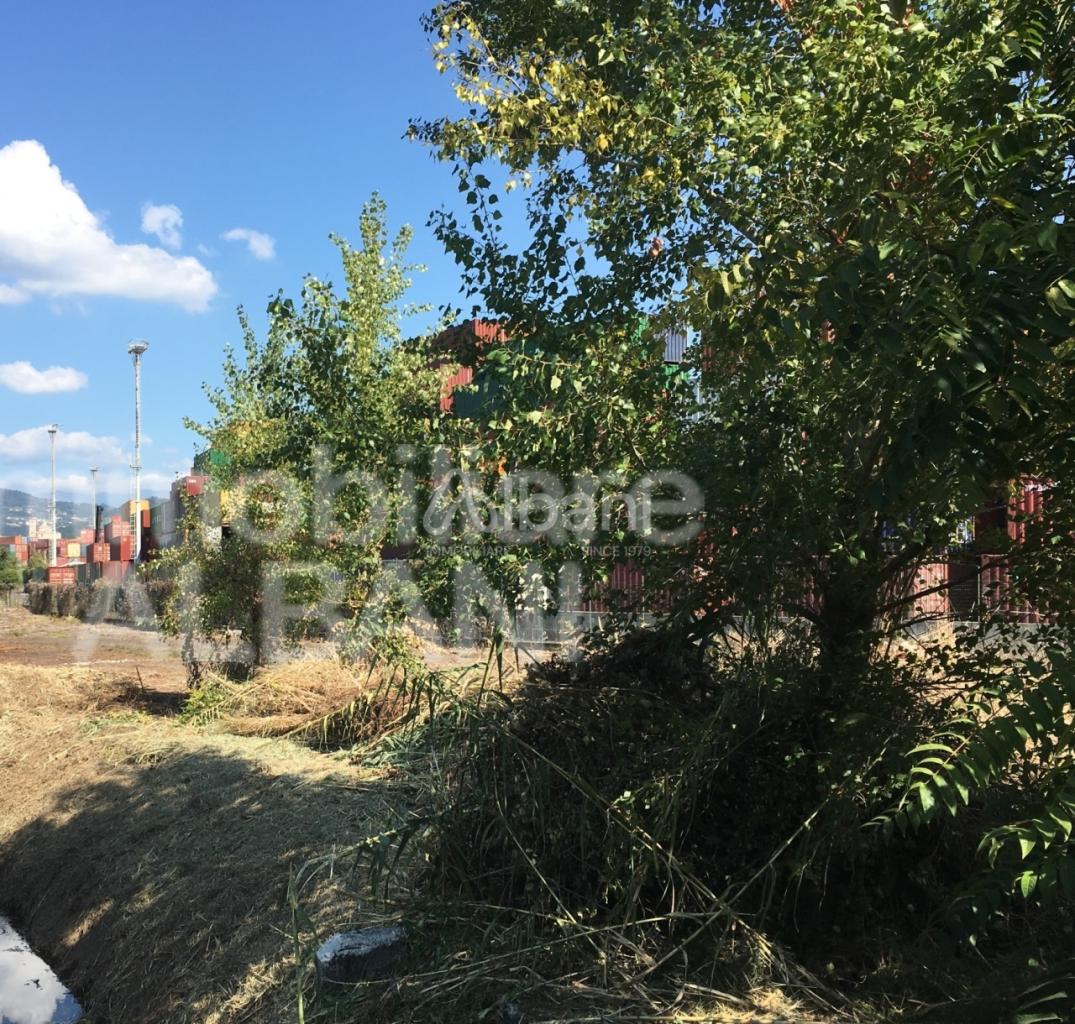 Vendita Monovano, Santo Stefano di Magra foto