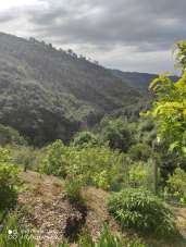 Vendita Multivani, Dolceacqua Vendita Multivani, Dolceacqua