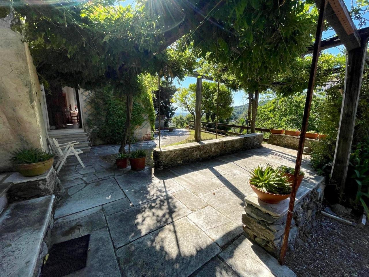 Vendita Multivani, Ameglia foto