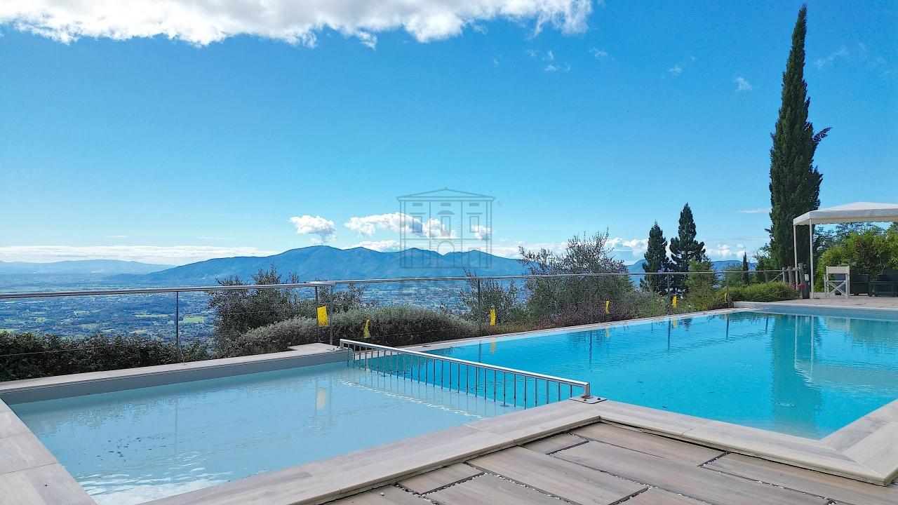 Vendita Multivani, Lucca foto