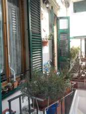 Vendita Trivani, Livorno Vendita Trivani, Livorno
