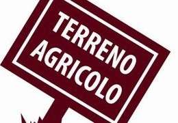 Vendita Terreni, Massa