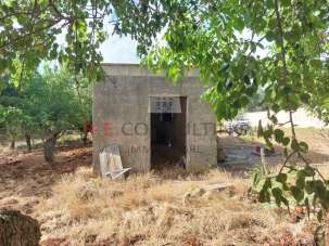 Vendita Monovano, Ceglie Messapica Vendita Monovano, Ceglie Messapica