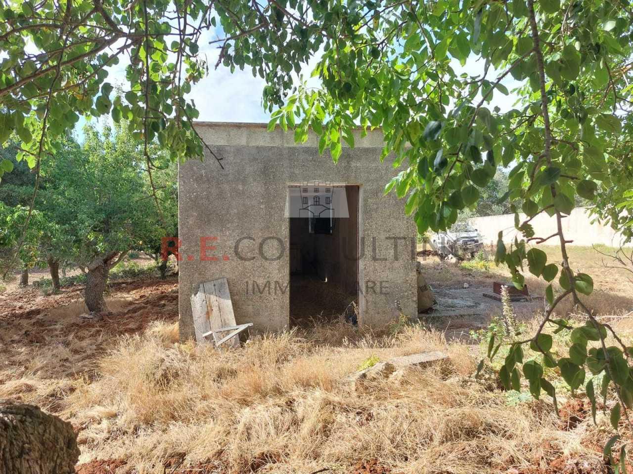 Vendita Monovano, Ceglie Messapica foto