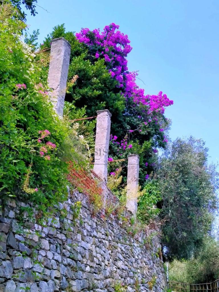 Vendita Multivani, Sarzana foto