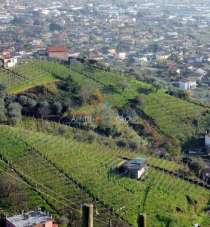 Vendita Monovano, Carrara Vendita Monovano, Carrara